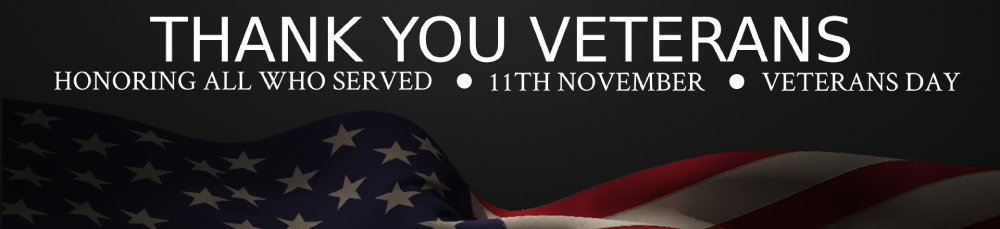 Veterans Day Sale