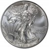 2013 1 oz American Silver Eagle Coin - Gem BU