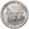 1989 1 oz American Silver Eagle Coin - Gem BU
