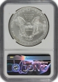 2008-W Reverse of 2007 1 oz American Burnished Silver Eagle Coin - NGC MS-70 - Very Scarce!