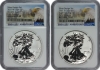 2021 Reverse Proof American Silver Eagle 2 Coin Set - Designer Edition - NGC Reverse PF-69 Early Release