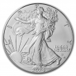 2024-(P) 1 oz American Silver Eagle Coin with Star Privy - Gem BU