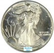 1 oz American Silver Eagle Coin - Random Date - Avg. BU