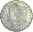 1884 Morgan Silver Dollar Coin - Borderline Uncirculated