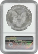 2016 1 oz American Silver Eagle Coin - NGC MS-70