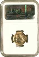 1913 Buffalo Nickel Coin - Type 1 - NGC/PCGS Certified MS-64