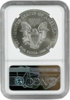 2019 1 oz American Silver Eagle Coin - NGC MS-70