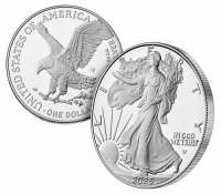 2025-W 1 oz Proof American Silver Eagle Coin - Gem Proof (w/ Box & COA)
