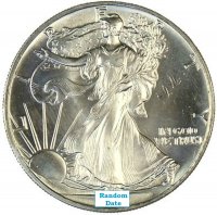 1 oz American Silver Eagle Coin - Average Uncirculated - Random Date