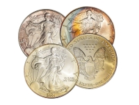 1 oz American Silver Eagle Coin - Random Date -  Impaired/Average Unc 