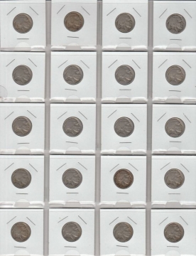 Buffalo Nickel 20-Coin Pocket Lot - Mixed Dates and Grades