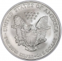 2006 1 oz American Silver Eagle Coin - Gem BU
