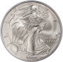 2004 1 oz American Silver Eagle Coin - Gem BU