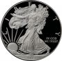 2010-W 1 oz American Proof Silver Eagle Coin - Gem Proof (w/ Box & COA)