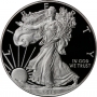 2015-W 1 oz American Proof Silver Eagle Coin - Gem Proof (w/ Box & COA)