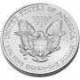 2007-W 1 oz American Burnished Silver Eagle Coin - Gem BU (w/ Box & C.O.A.)