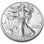 2011-W 1 oz American Burnished Silver Eagle Coin - Gem BU (w/ Box & C.O.A.)