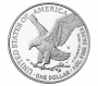 2024-W 1 oz Proof American Silver Eagle Coin - Gem Proof (w/ Box & COA)