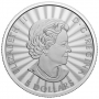 2022 1 oz Canadian The Majestic Polar Bear Coin Coin - Gem BU 