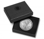 2023-W 1 oz Burnished American Silver Eagle Coin - Gem BU (w/ Box & COA)