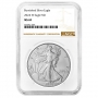2024-W 1 oz Burnished American Silver Eagle Coin - NGC MS-69 Brown Label