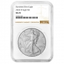 2024-W 1 oz Burnished American Silver Eagle Coin - NGC MS-70 Brown Label