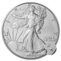 2024-(P) 1 oz American Silver Eagle Coin with Star Privy - Gem BU