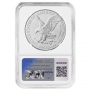 2025(P) 1 oz American Silver Eagle Coin - Eagle Privy - NGC MS-70 Early Release