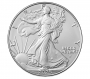 2025-W 1 oz Burnished American Silver Eagle Coin - Gem BU (w/ Box & COA)
