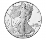 2025-W 1 oz Proof American Silver Eagle Coin - Gem Proof (w/ Box & COA)