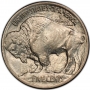1913 Buffalo Nickel Coin - Type 1 - Choice BU