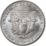 1991 1 oz American Silver Eagle Coin - Gem BU