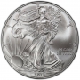 2010 1 oz American Silver Eagle Coin - Gem BU