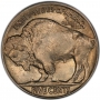 1913 Buffalo Nickel Coin - Type 2 - Choice BU
