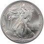 1995 1 oz American Silver Eagle Coin - Gem BU