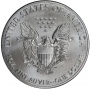2019 1 oz American Silver Eagle Coin - Gem BU
