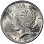 1923 Peace Silver Dollar Coin - Brilliant Uncirculated (BU)