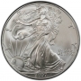 2007 1 oz American Silver Eagle Coin - Gem BU