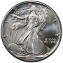 1990 1 oz American Silver Eagle Coin - Gem BU