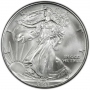 1993 1 oz American Silver Eagle Coin - Gem BU