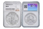 1986-2025 41-Coin American Silver Eagle Complete Set - NGC MS-69
