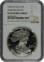 1995-W 10th Anniversary 1 oz American Proof Silver Eagle Coin - NGC PF-69 Ultra Cameo