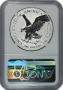 2021 Reverse Proof American Silver Eagle 2 Coin Set - Designer Edition - NGC Reverse PF-70 Early Release