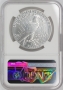 2025 Morgan and Peace Silver Dollar 2 Pc Set - NGC MS-70 First Day of Issue - Morgan and Peace Dollar Label