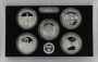 2011 U.S. Silver Proof Coin Set