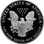 2001-W 1 oz American Proof Silver Eagle Coin - Gem Proof (w/ Box & COA)