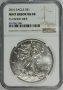 2016 American Silver Eagle - Rare Clashed Dies - NGC MS-68