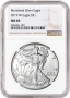2019-W 1 oz Burnished American Silver Eagle Coin - NGC MS-69